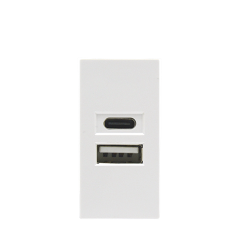 F21-C2B USB+Type C Modul - 4869