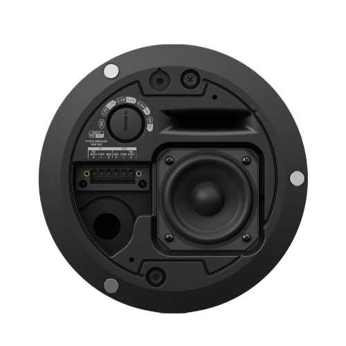 DM2C-LP Ceiling Speaker - 4922