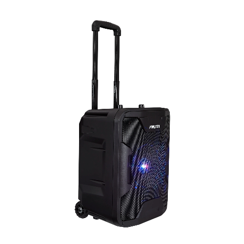 CALIFORNIA Portativ Dinamik - 5358