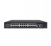 Switch RD-H24P21U300