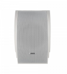 DSP112 Wall Mount Speaker